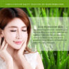 Natural Plant Facial Masks Moisturizing, Oil Control, Anti-Aging - Image 5